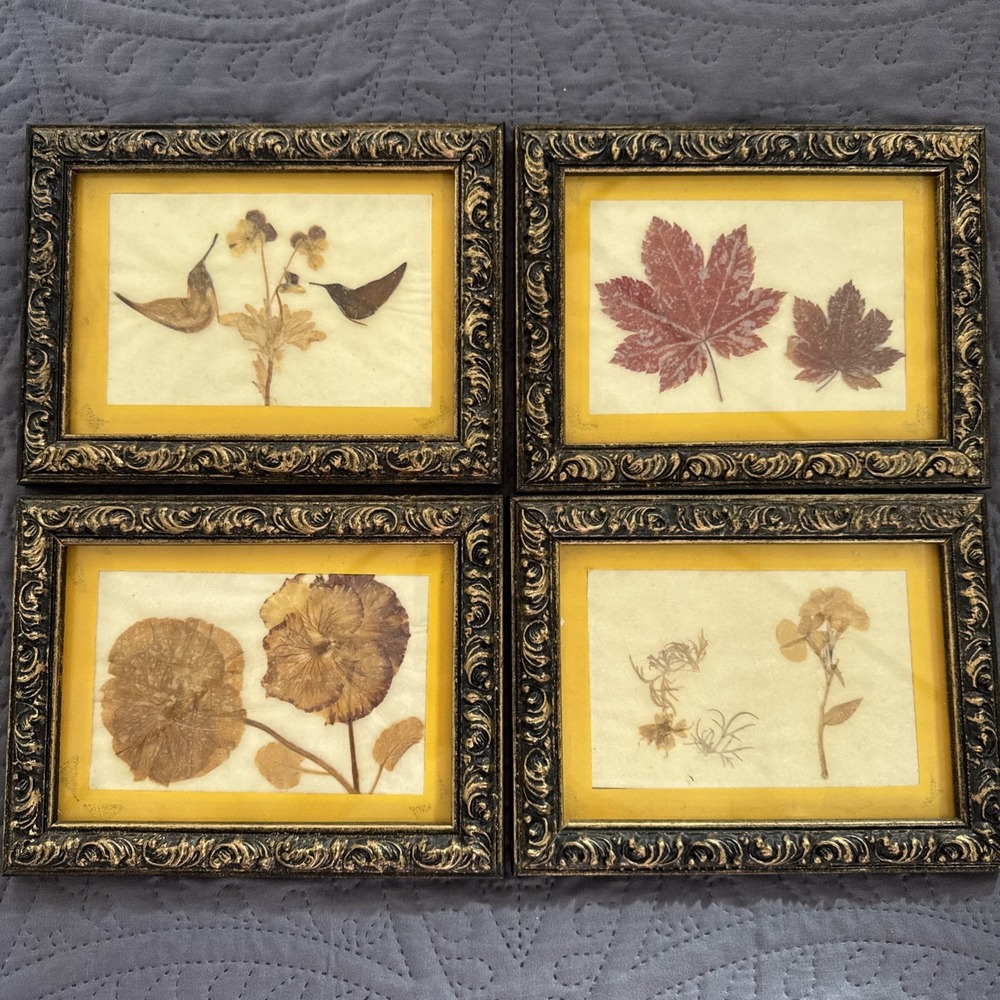 Vintage Pressed Flower Botanical Wall Art Lot of 4 Framed Nature Cottage Decor